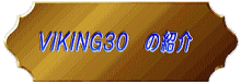 VIKING30　の紹介 